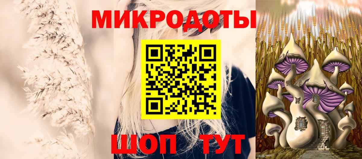 Галлюциногенные грибы мухоморы  Вход с VPN  что такое наркотик  Псилоцибиновые грибы мухоморы  Гусев 